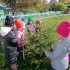 IMG_20250923_115313.jpg